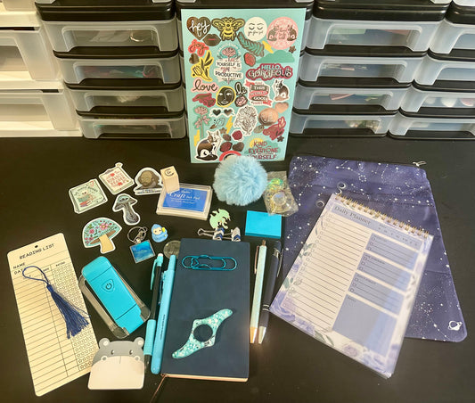 20 Item Bookish Mystery Bundle